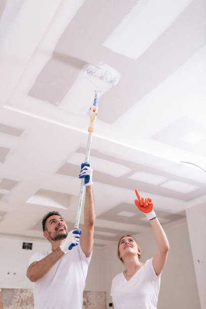 Mold Odor Removal Services in Florence, TX