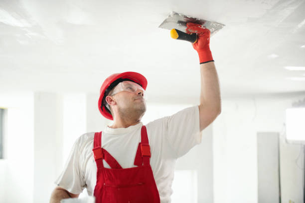 Best Mold Documentation for Insurance Claims  in Florence, TX