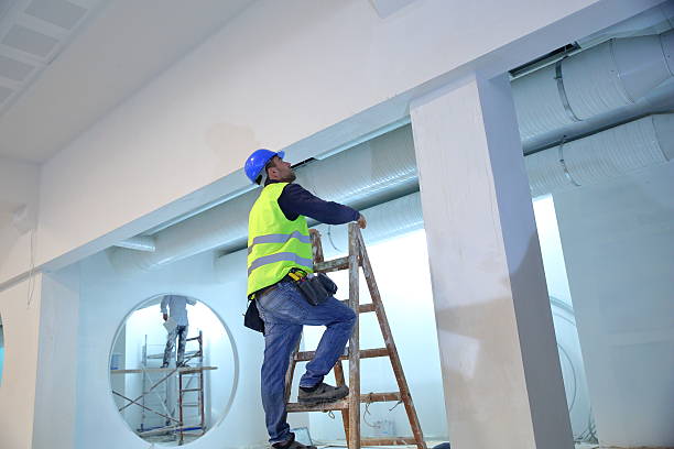 Best Commercial Mold Inspection  in Florence, TX